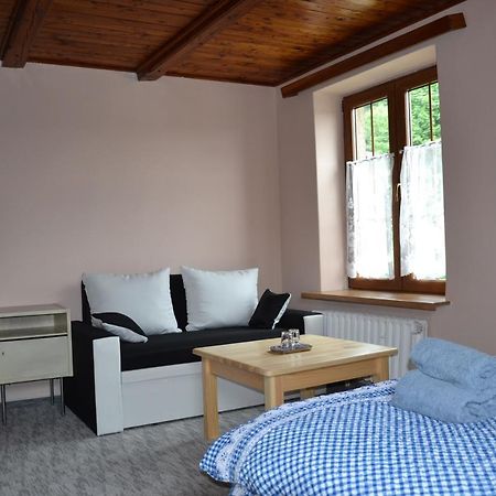 Penzion Pod Severakem Lučany nad Nisou Exteriör bild